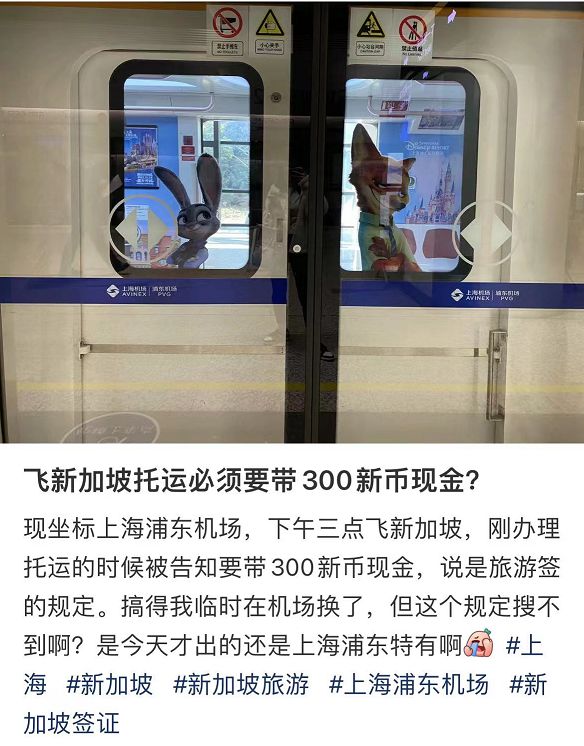 首批中国游客已免签落地新加坡！这些东西一定不能带回国(图5)