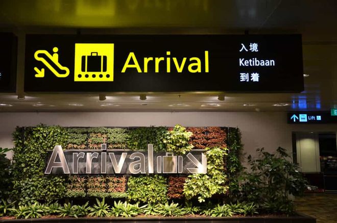 首批中国游客已免签落地新加坡！这些东西一定不能带回国(图8)