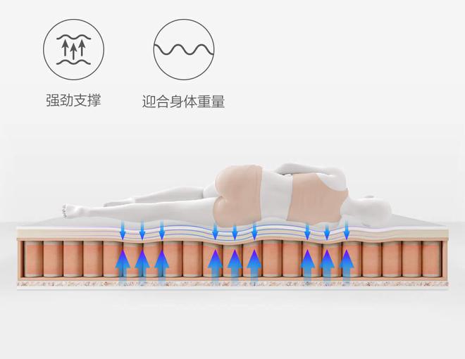弹力强、承托稳、无惧大体重8H黑金刚大口径护脊弹簧乳胶床垫(图3)