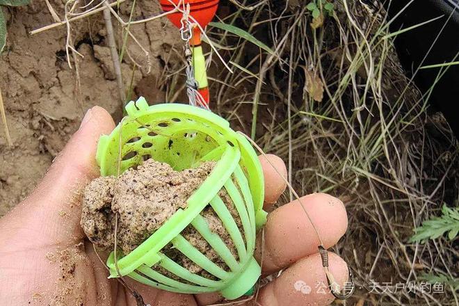 野钓大鲢鳙用弹簧饵托钓法到底能有多强？(图2)