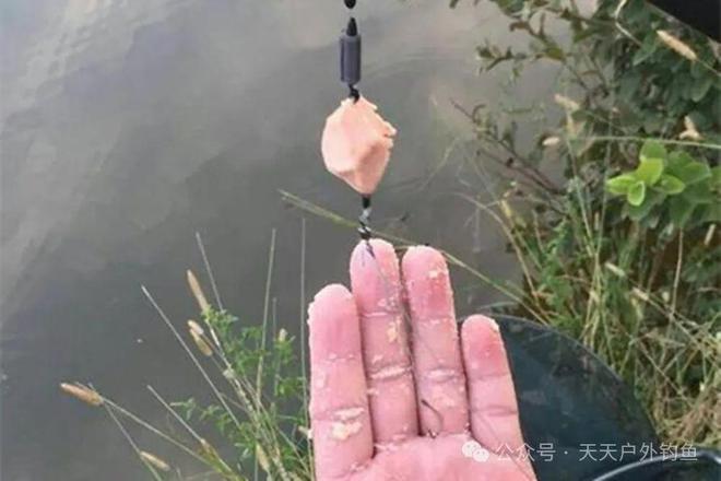 野钓大鲢鳙用弹簧饵托钓法到底能有多强？(图3)