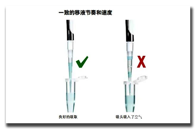 教你正确使用移液枪很多人第一步就弄错了(图5)