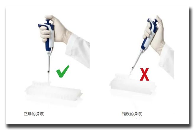 教你正确使用移液枪很多人第一步就弄错了(图4)