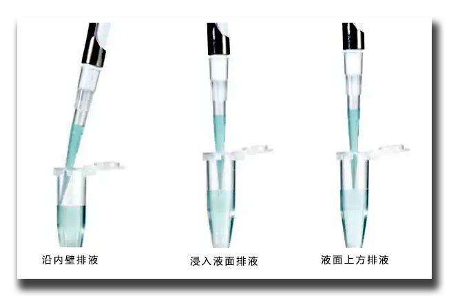 教你正确使用移液枪很多人第一步就弄错了(图6)