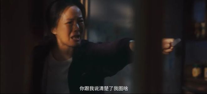 50岁阿姨自驾游的故事为什么值得进电影院看？(图9)