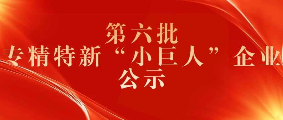 创新力量！厦门市18家企业入选第六批专精特新“小巨人”企业(图1)