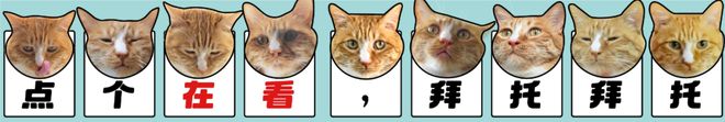 猫咪环境丰容好物来啦！均价不到10元（无广(图15)