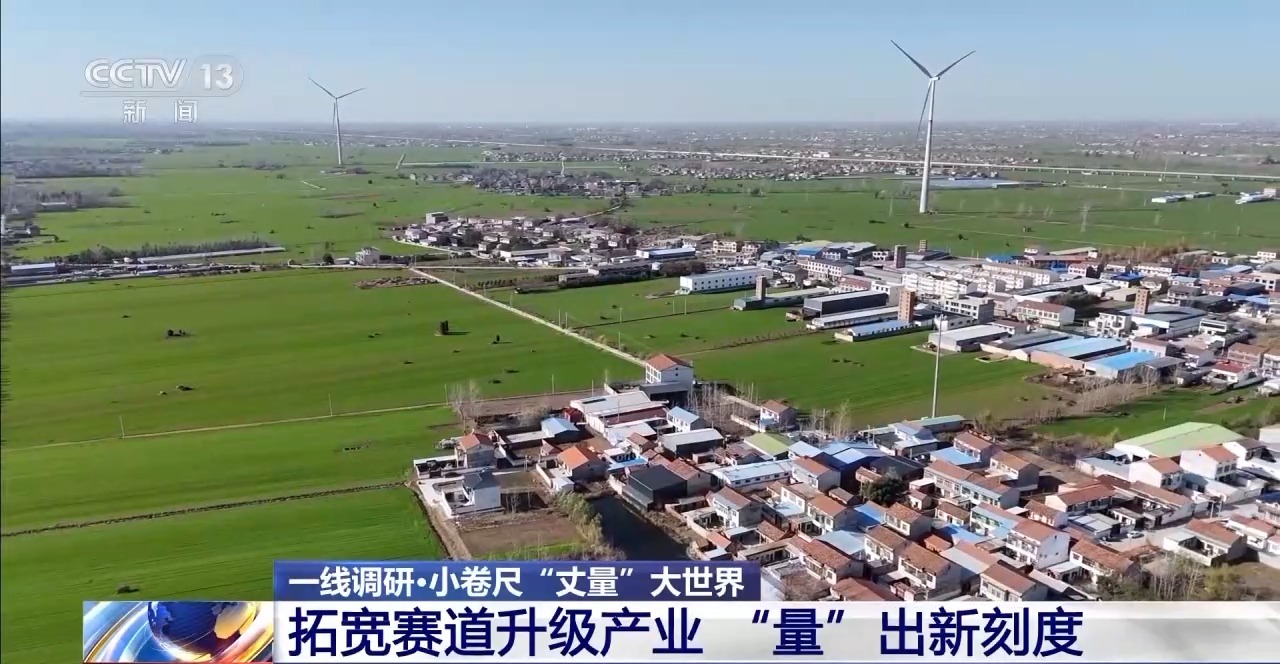 “草根经济”→“树根经济”一把钢卷尺能有多“卷”？(图10)