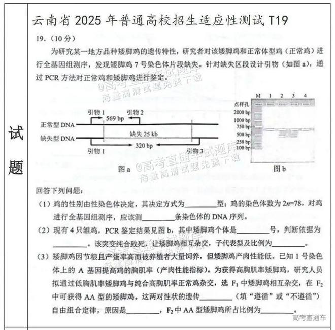 八省联考透露出2025新高考哪些新变化？(图21)