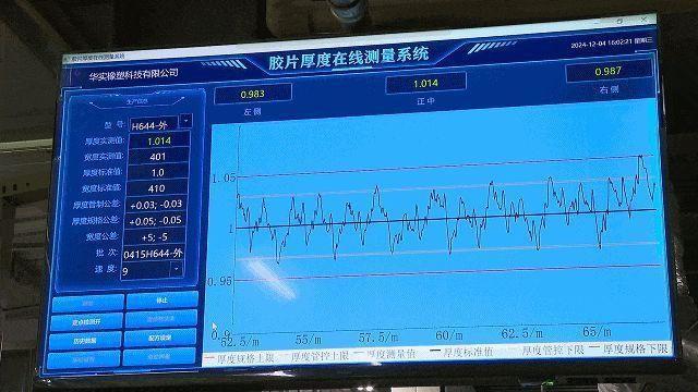 智数领航金奖闪耀：谷器数据助推华实橡塑数智化飞跃(图3)