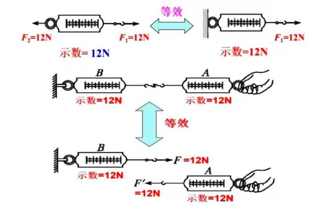 初中物理“弹簧测力计”大闯关：从错题挖宝藏提分超轻松！(图3)