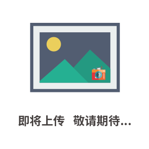 皮尔兹PILZ安全继电器内部结构与工作原理详解(图1)