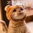 弹簧厂家(图1)