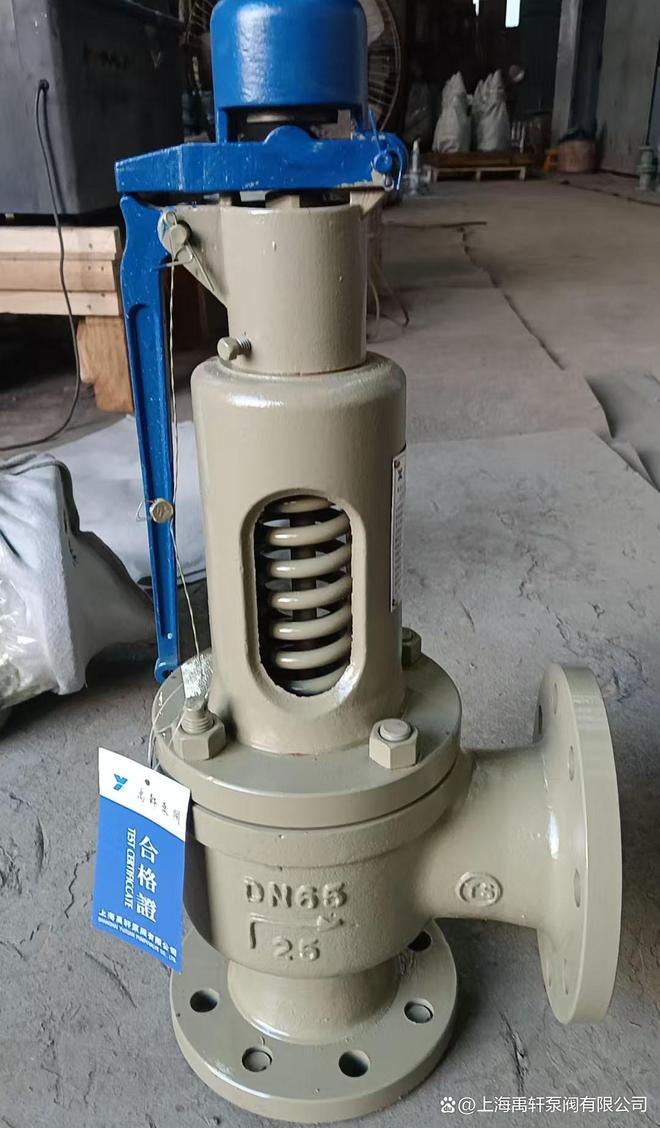 上海禹轩A48Y-16C-DN50弹簧式安全阀新老交替助力广州一厂区设备(图3)