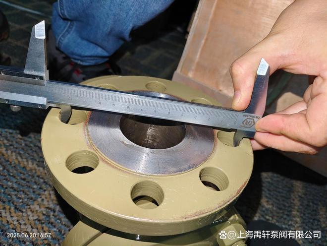 上海禹轩A41H-16K-DN50、65弹簧安全阀成功交付出口日本某工厂(图3)