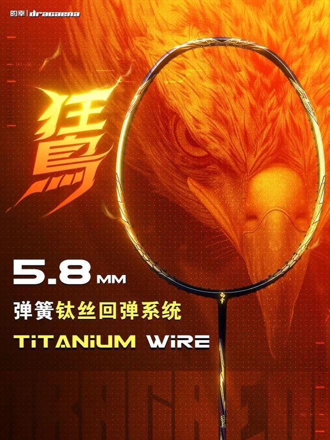 当猛禽鵟锁定猎物球场胜负只在雷霆一击之间！(图3)