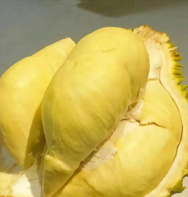 25000亩国产榴莲熟了进口价格暴跌30%泰国急了:1600吨运中国(图7)