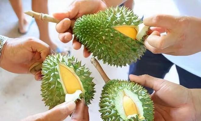 25000亩国产榴莲熟了进口价格暴跌30%泰国急了:1600吨运中国(图2)