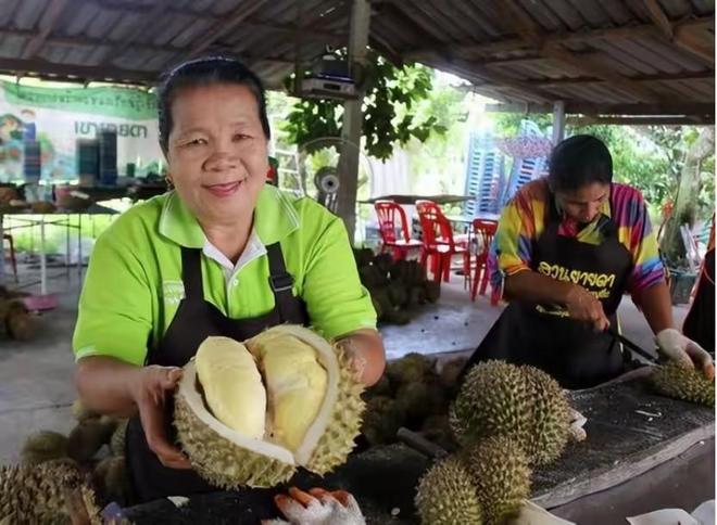 25000亩国产榴莲熟了进口价格暴跌30%泰国急了:1600吨运中国(图5)