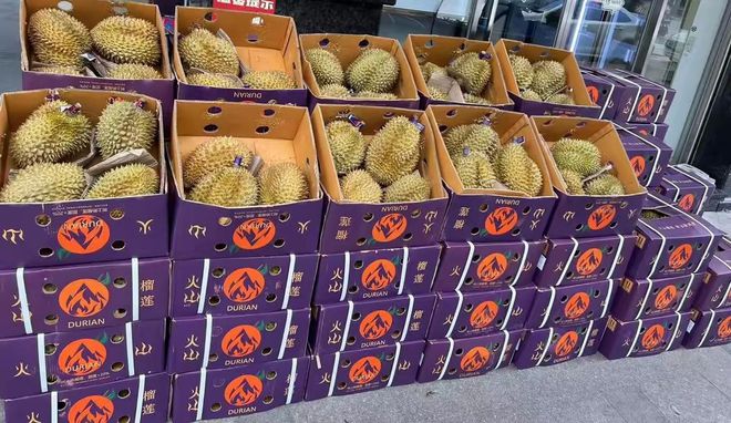 25000亩国产榴莲熟了进口价格暴跌30%泰国急了:1600吨运中国(图8)