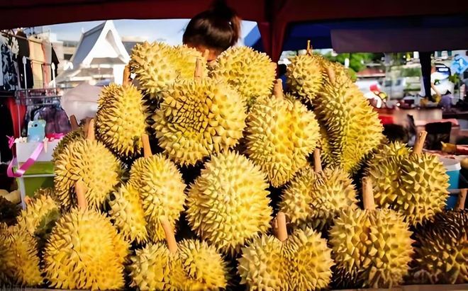 25000亩国产榴莲熟了进口价格暴跌30%泰国急了:1600吨运中国(图9)