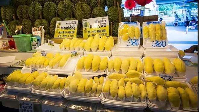 25000亩国产榴莲熟了进口价格暴跌30%泰国急了:1600吨运中国(图11)