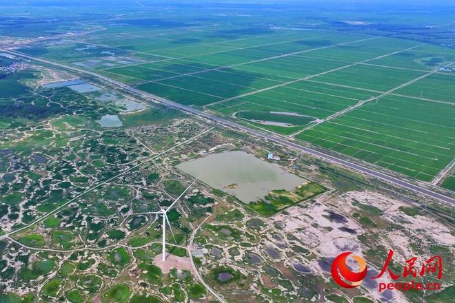 白山松水好“风光”(图6)