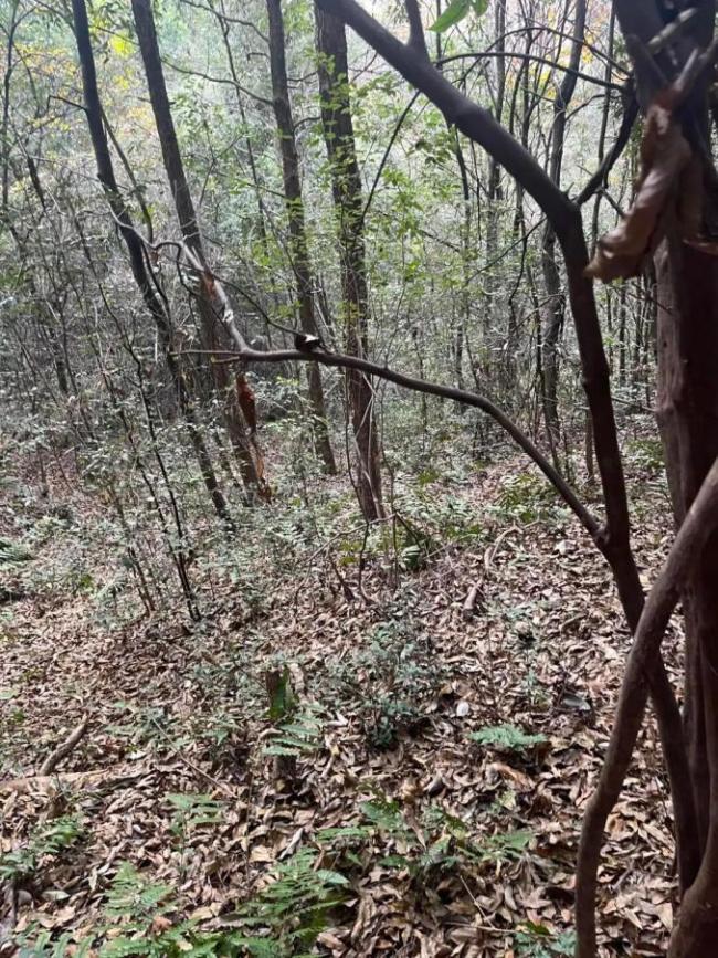 67块坠机残片见证81年飞虎情谊跨国友谊的实物佐证(图4)