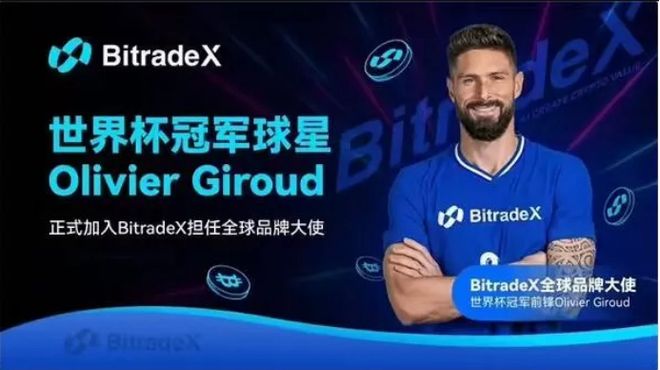 稳如吉鲁！BitradeX用户复投率激增40%背后的长期主义(图1)