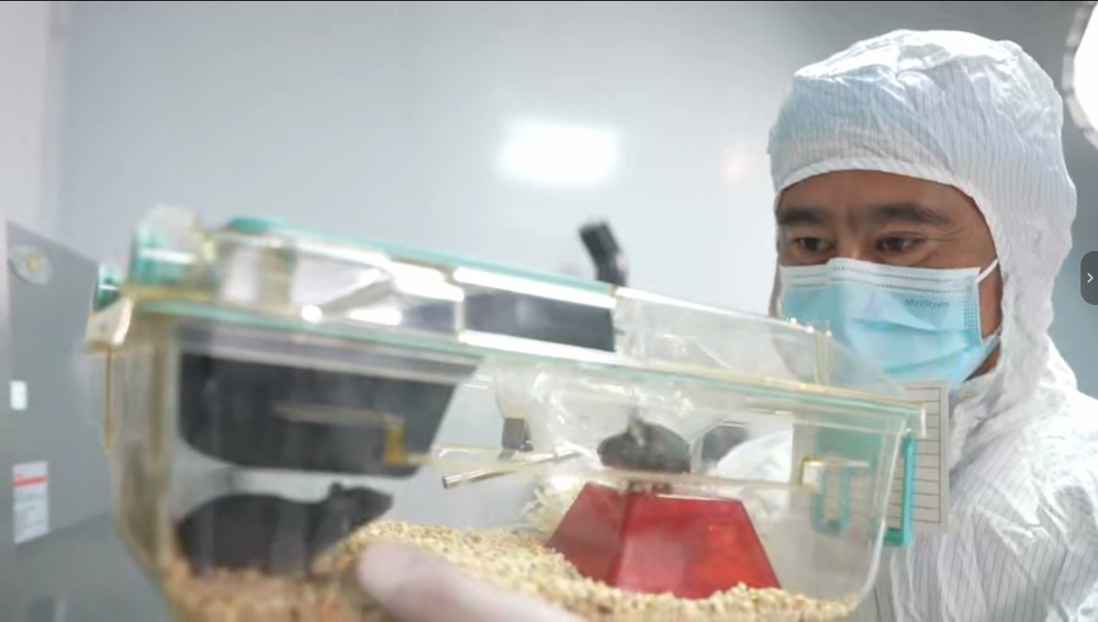 “动物航天员”队伍上新！小鼠如何完成奇妙的太空之旅？(图2)