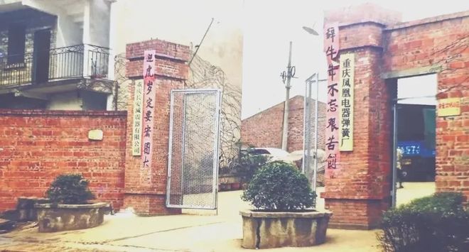 5年练成市值2300亿年度最佳爽文男主揭晓(图2)