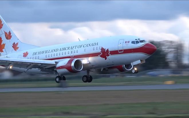 飞机起降系统非线性动力学稳定性研究与多参数耦合的摆振行为分析(图3)