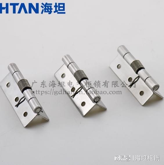 304不锈钢弹簧铰链(图1)