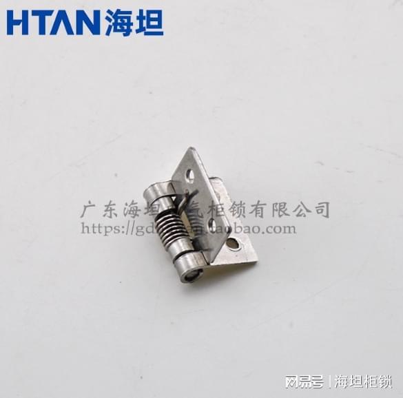 304不锈钢弹簧铰链(图2)