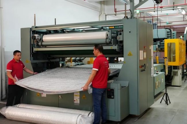 东宝床垫获评“东莞市质量管理优秀单位”(图3)